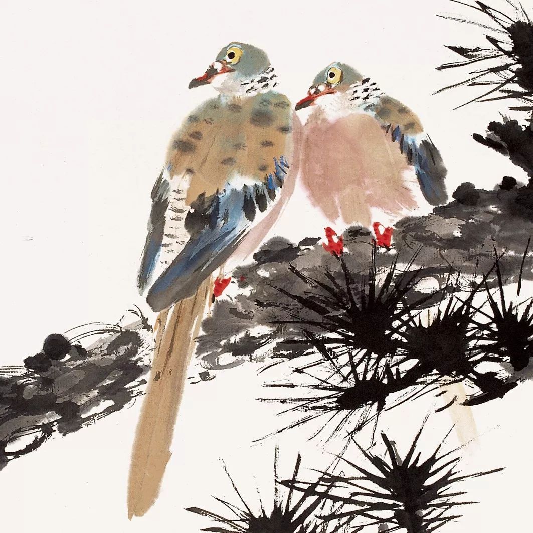100幅禽鳥(niǎo)百圖，國(guó)畫(huà)鳥(niǎo)類(lèi)美醉了！