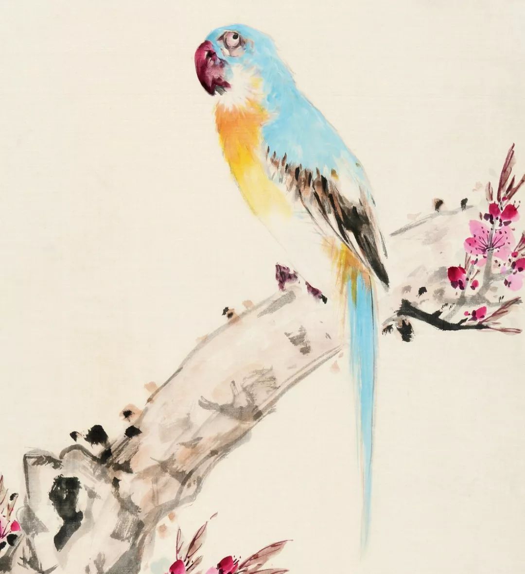 100幅禽鳥(niǎo)百圖，國(guó)畫(huà)鳥(niǎo)類(lèi)美醉了！