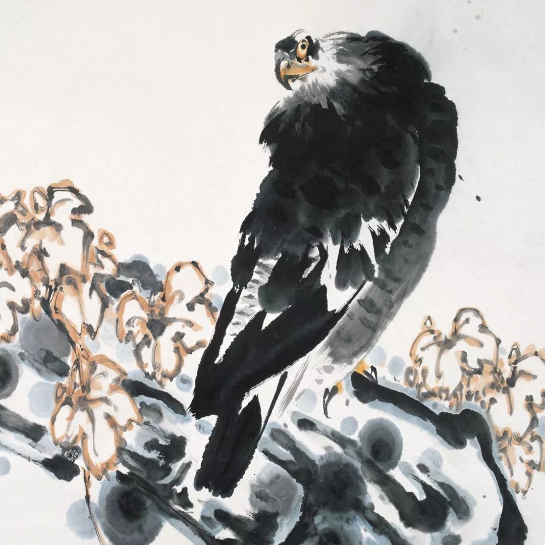 100幅禽鳥(niǎo)百圖，國(guó)畫(huà)鳥(niǎo)類(lèi)美醉了！