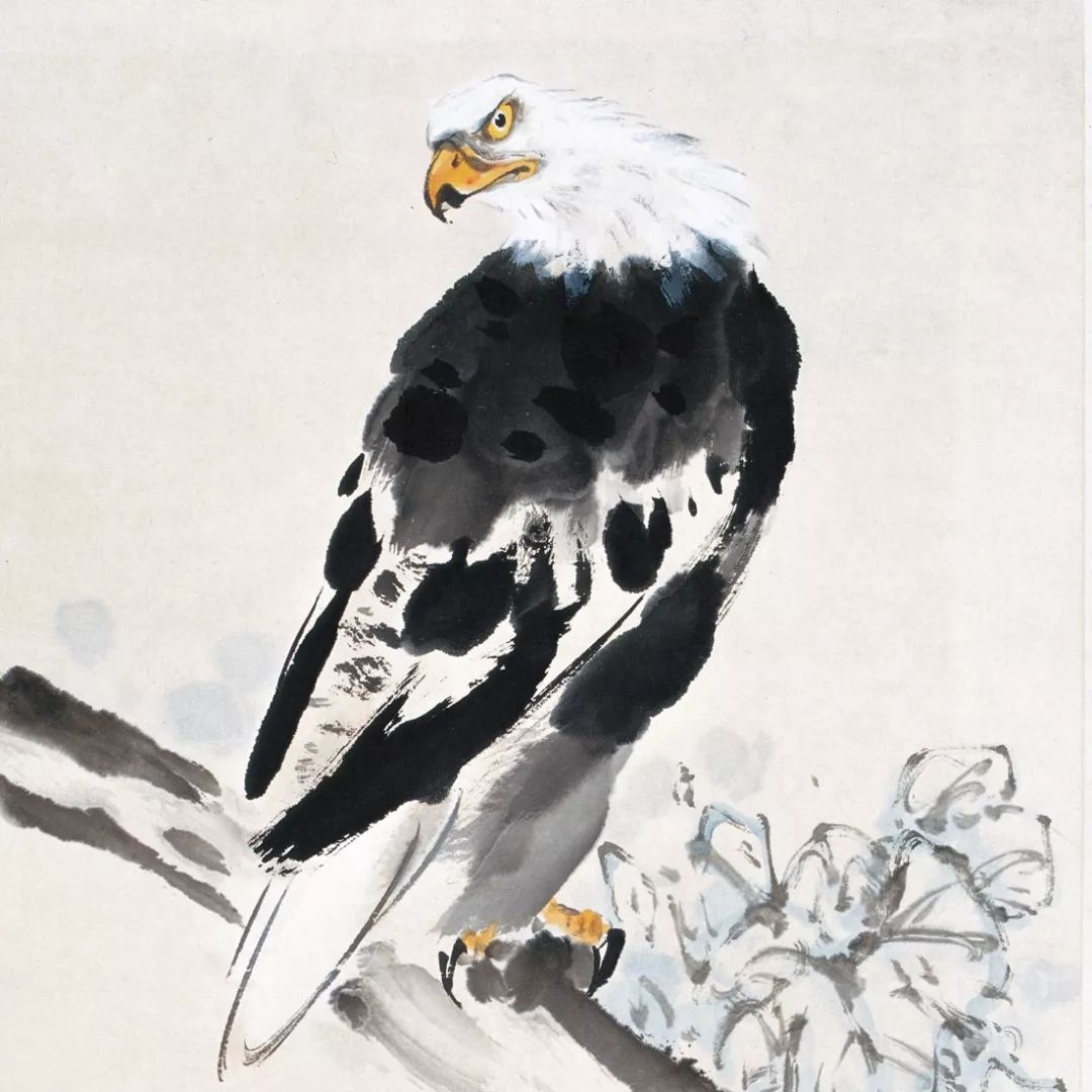 100幅禽鳥(niǎo)百圖，國(guó)畫(huà)鳥(niǎo)類(lèi)美醉了！