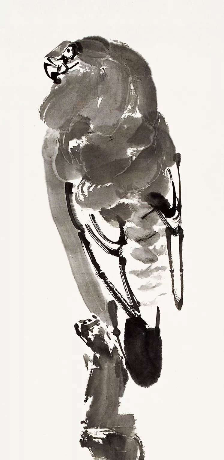 100幅禽鳥(niǎo)百圖，國(guó)畫(huà)鳥(niǎo)類(lèi)美醉了！