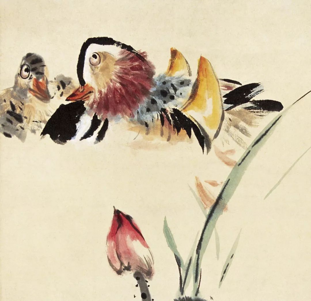 100幅禽鳥(niǎo)百圖，國(guó)畫(huà)鳥(niǎo)類(lèi)美醉了！
