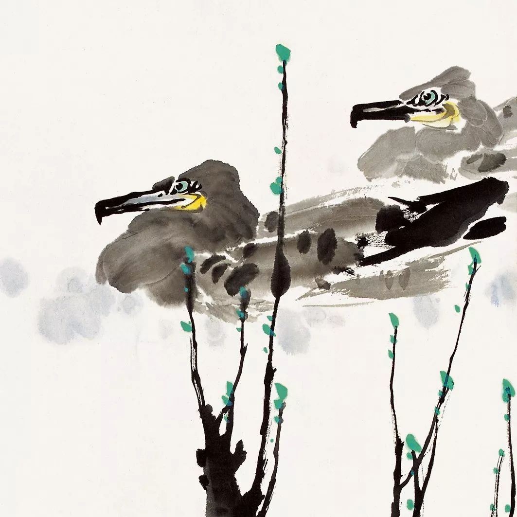 100幅禽鳥(niǎo)百圖，國(guó)畫(huà)鳥(niǎo)類(lèi)美醉了！