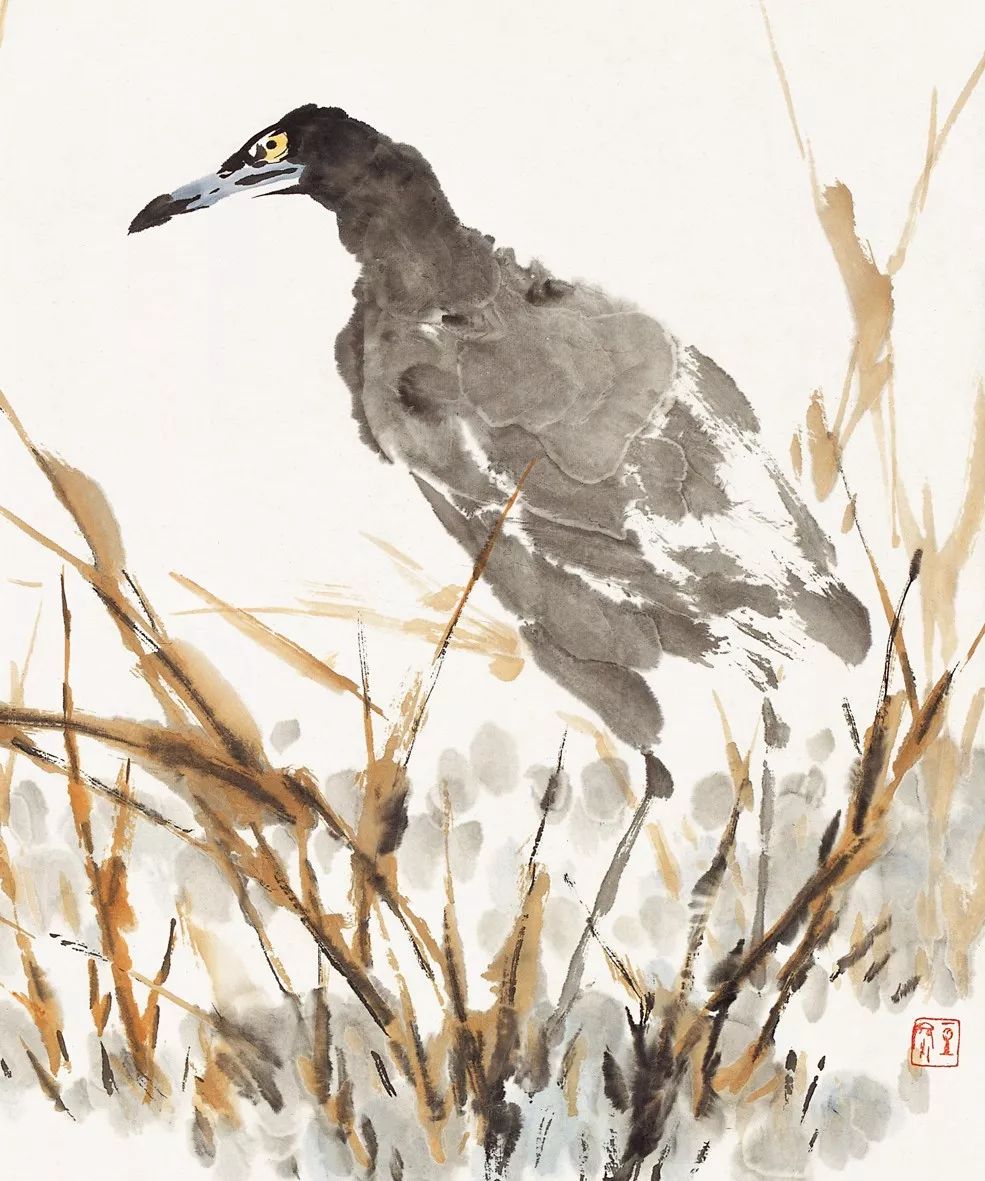 100幅禽鳥(niǎo)百圖，國(guó)畫(huà)鳥(niǎo)類(lèi)美醉了！