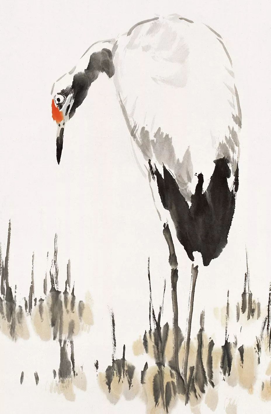 100幅禽鳥(niǎo)百圖，國(guó)畫(huà)鳥(niǎo)類(lèi)美醉了！