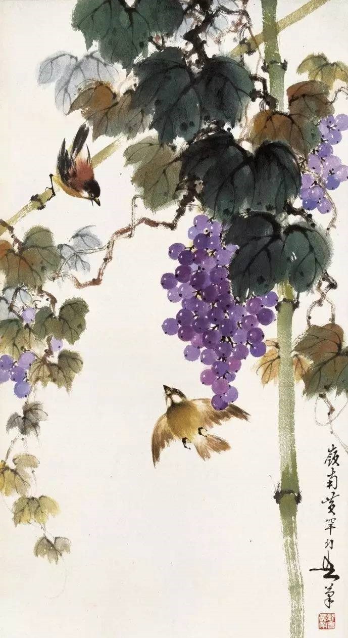 美人如葡萄，秀美如國畫！