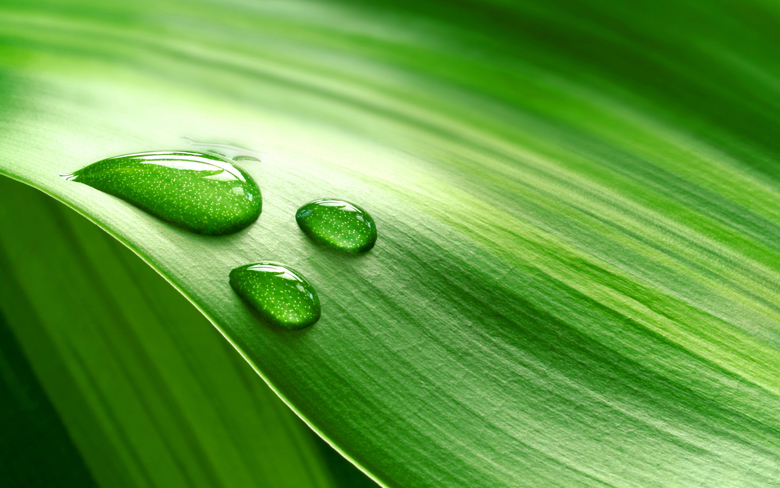 震驚?。?！原來房間風(fēng)水植物擺放也有宜忌與選