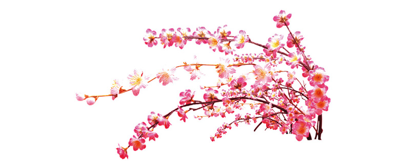 你知道如何看桃花運嗎？風水學來教你