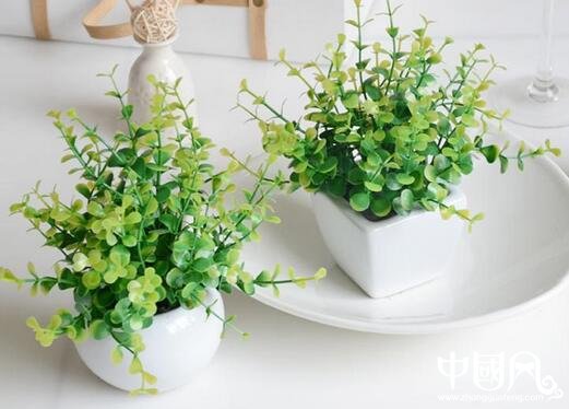 室內(nèi)的植物風水