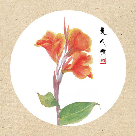 清新古風花卉插畫，可作頭像的花卉插畫圖片