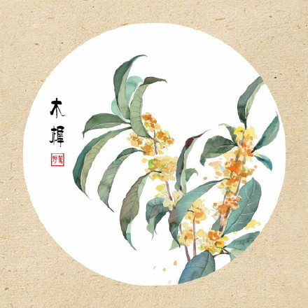 清新古風花卉插畫，可作頭像的花卉插畫圖片