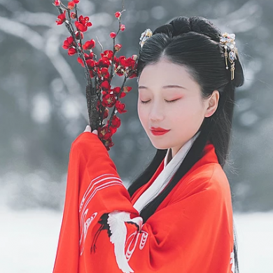 紅梅白雪彈琴女生頭像，唯美古風(fēng)真人頭像