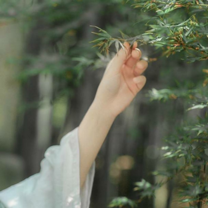 玉手撫枝古風頭像，唯美女子纖手頭像