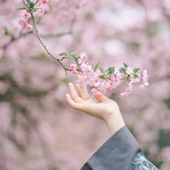玉手撫枝古風頭像，唯美女子纖手頭像